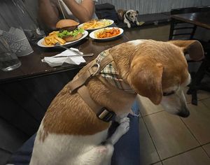   at Kozmosz Vegan Etterem in Budapest