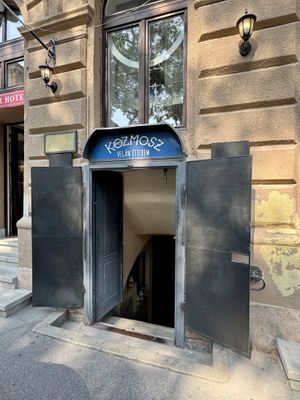   at Kozmosz Vegan Etterem in Budapest