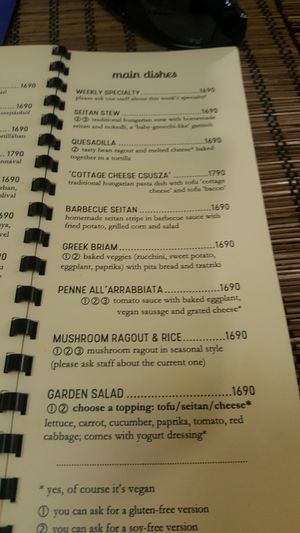 main courses at Kozmosz Vegan Etterem in Budapest