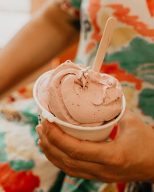 Creamy vegan soft serve made with real fruit and coconut base at Wildflower Ice Cream in St. Pete. 100% dairy-free, plant-based, and delicious. at Wildflower Ice Cream in St Petersburg