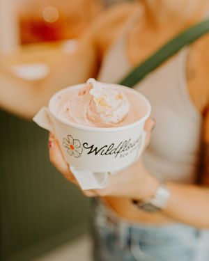 Colorful cups of vegan soft serve made with clean ingredients and zero artificial dyes. A must-try dessert in St. Pete for non-dairy lovers. at Wildflower Ice Cream in St Petersburg