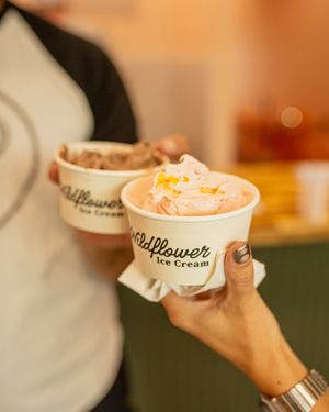 St. Pete’s vegan ice cream gem—non-dairy soft serve blended with cherries and Oreos. No dairy, no compromise on flavor! at Wildflower Ice Cream in St Petersburg