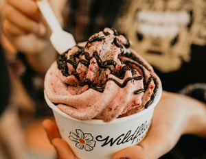 Wildflower’s non-dairy soft serve with real raspberries and chocolate drizzle. Vegan-friendly sweet treat in the heart of St. Petersburg. at Wildflower Ice Cream in St Petersburg