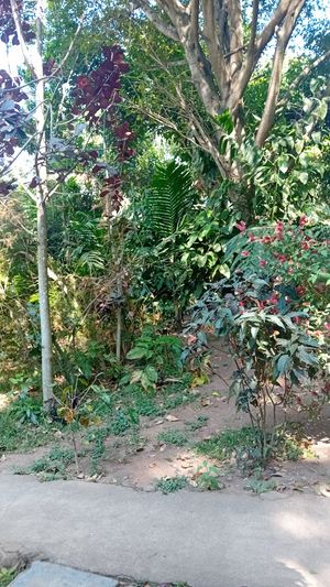  at Mayachik in San Juan La Laguna