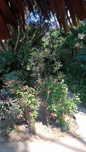  at Mayachik in San Juan La Laguna