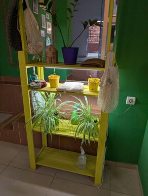  at The Green House in Almaty