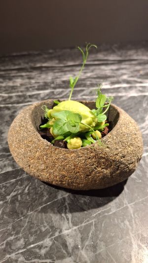 Pea sorbet with crumbled chocolate cake and chocolate jelly. Was unsure about this at first since I don't like peas, but it was really exciting, and really smooth. Jelly was cool. at Vaust Bar & Restaurant in Berlin