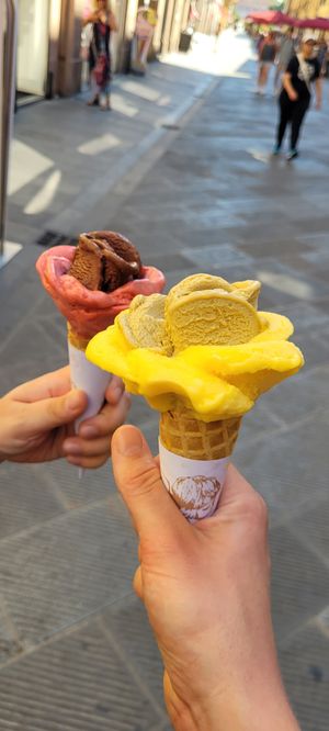 The ice cream at Amorino Gelato - Pisa in Pisa
