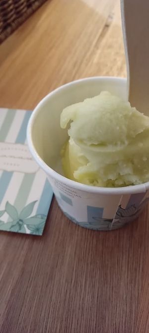 Citrus Brasilis (base de limão) at Sorveteria Granado Verão in Rio De Janeiro