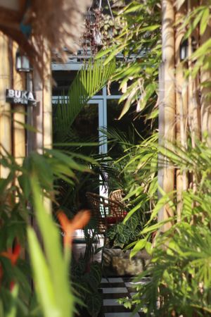 Garden at Indogenous - Conscious Comfort Cafe in 