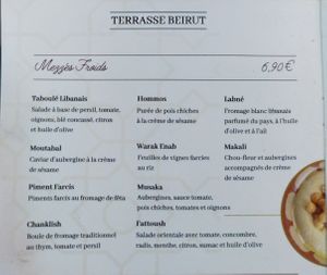 All cold mezzes are vegetarian or vegan. at Terrasse Beirut in Paris