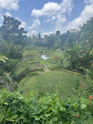 Resort farm for farm to table restaurant   at Fivelements in Mambal