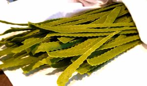 grüne Nudeln handgemacht
 at Sana e Salva in Oberwaiz