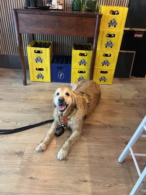   at Noush in Barcelona