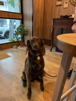   at Noush in Barcelona