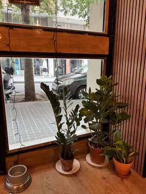   at Noush in Barcelona