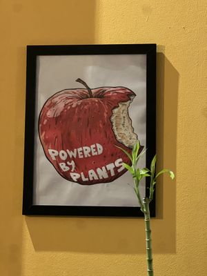   at Noush in Barcelona