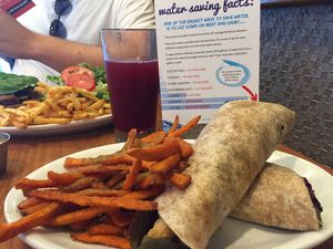 Wrap and fries at Native Foods - Point Loma in San Diego