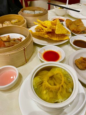 Dumpling in Soup  at Graceful Vegetarian in Markham