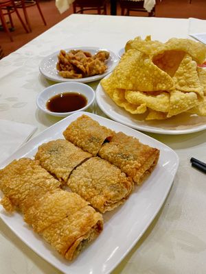 Pan Fined Soya Skin Stuffed Rolls , Fried wonton Wrapping and Deep Fried Vegetarian Spare  at Graceful Vegetarian in Markham