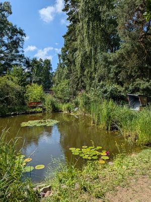  at Cafe Zaubergarten in Dargen