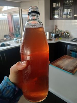 Raspberry kombucha at Gut Feeling Fermentation  in Port Elliot