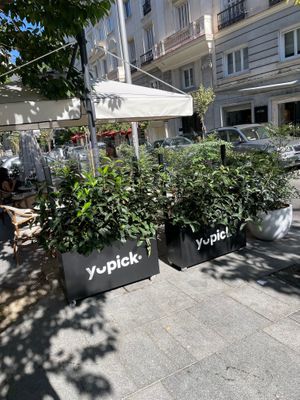  at Yupick in Comunidad De Madrid