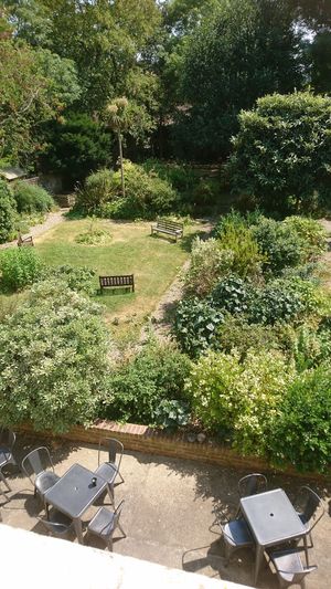 A view of the garden at Temple Lodge Club in West London