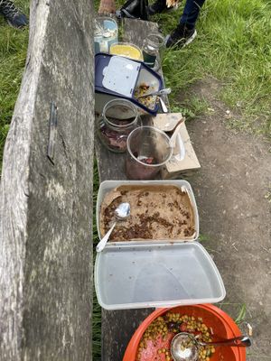 The whole picknick  at Krauterpension am Wald in Hanau