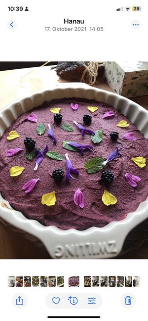 Beerentarte wunderbar   at Krauterpension am Wald in Hanau