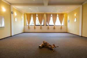 pet friendly at Hotel Korinjak in Veli Iz