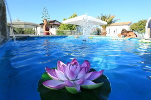 On our terrace at Pension Cherry Blossom in Liznjan
