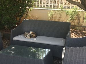 Several shady areas to sit and contemplate, or just have a snooze. at Pension Cherry Blossom in Liznjan