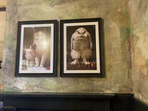   at Owl & Pussycat in London