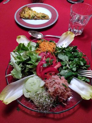 Day 2 dinner main - salad at Moosmuehle in Hefenhofen