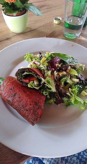 raw main: wrap with salad  at Naturkost-Hotel Harz in Bad Grund