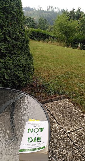 Interesting literature can be borrowed, most are in German but also some English books  at Naturkost-Hotel Harz in Bad Grund