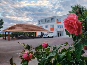 Hostel and outdoor restaurant with dry grass roof at Dharma Hostels in Rijeka