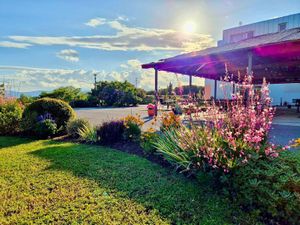 Beautiful outdoors at Dharma Hostels in Rijeka