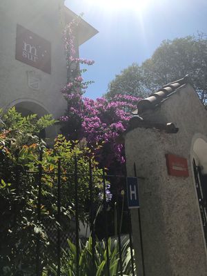 Outside at Meridiano Sur Petit Hotel in Santiago