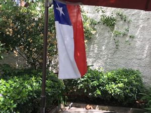 Terraza at Meridiano Sur Petit Hotel in Santiago