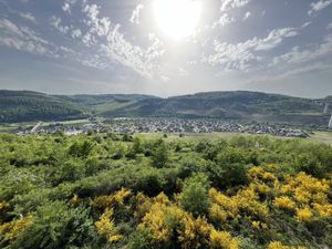   at Hotel Nicolay in Zeltingen-rachtig