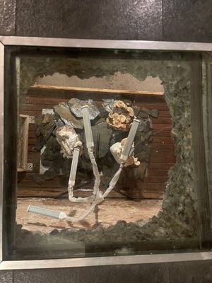 Die Weinstube:
Below the restaurant there is a cellar where all kinds of mushrooms are grown. Through a glass window in the floor we could see the manager harvesting the mushrooms at Hotel Nicolay in Zeltingen-rachtig