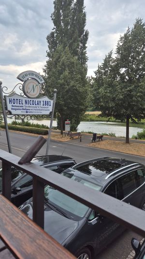 at Hotel Nicolay in Zeltingen-rachtig