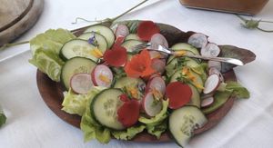 Vegetarian, vegan salads and fruit at Naturheilhof in Gommlo in Kemberg Ot Gommlo