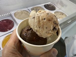 Chocolate and another flavor I forgot🙄  at Bliss Ice Cream  in Novato
