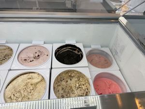 vegan case  at Bliss Ice Cream  in Novato