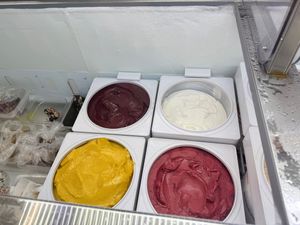 vegan case  at Bliss Ice Cream  in Novato