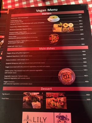 Menu (separate vegan menu to main)   at Galata Lily Lounge Restaurant in Istanbul