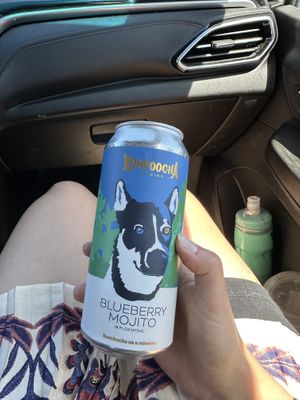 Canned booch   at Kompoocha - Non-alcoholic Kombucha  in Temecula
